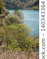 Matsukawa Lake, Okuno Dam, the season of cherry blossoms and fresh greenery, a water source for Ito City 140343364