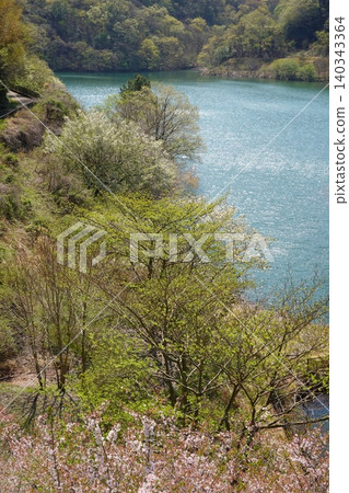 Matsukawa Lake, Okuno Dam, the season of cherry blossoms and fresh greenery, a water source for Ito City Matsukawa Lake, Okuno Dam, the season of cherry blossoms and fresh greenery, a water source for Ito City 140343364