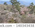 The broadleaf forest beside the West Izu Skyline is in the season of budding trees. 140343438