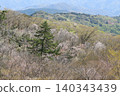 The broadleaf forest beside the West Izu Skyline is in the season of budding trees. 140343439