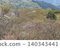The broadleaf forest beside the West Izu Skyline is in the season of budding trees. 140343441