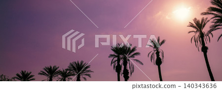 Row of tropical palm trees against sunset sky. Silhouette of tall palm trees. Tropical evening landscape. Row of tropical palm trees against sunset sky. Silhouette of tall palm trees. Tropical evening landscape. 140343636