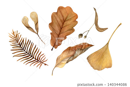 Watercolor set of dried autumn leaves and seeds. Ideal for seasonal stationery, packaging, textiles, wall art and nature-themed designs. Watercolor set of dried autumn leaves and seeds. Ideal for seasonal stationery, packaging, textiles, wall art and nature-themed designs. 140344086