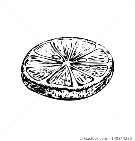 Lemon slice ink sketch vector isolated illustration. Hand drawn monochrome outline citrus cut round fruit piece for cocktail bar menu design, summer beverage label and herbal tea packaging Lemon slice ink sketch vector isolated illustration. Hand drawn monochrome outline citrus cut round fruit piece for cocktail bar menu design, summer beverage label and herbal tea packaging 140344250