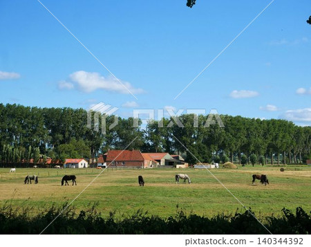 Belgian countryside: Pastures near Bruges Belgian countryside: Pastures near Bruges 140344392