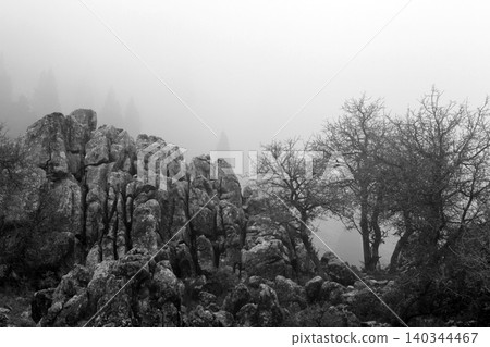 beautiful nature scenery black and white beautiful nature scenery black and white 140344467