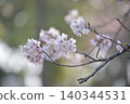 櫻花櫻 140344531