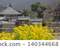 Asuka-dera Temple in spring when rape blossoms are in bloom. 140344668