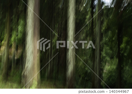 Forest ICM Forest ICM 140344967