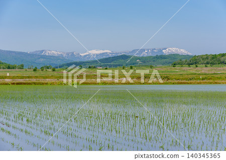 Mount Shokanbetsu and rice paddies: A rural landscape of the Ishikari Plain in early summer, Hokkaido. Mount Shokanbetsu and rice paddies: A rural landscape of the Ishikari Plain in early summer, Hokkaido. 140345365