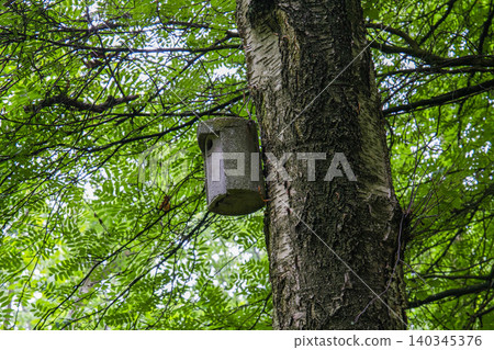Birdhouse on tree trunk, handmade concrete bird nesting box in lush green forest during summer, eco friendly bird feeding and protection concept Birdhouse on tree trunk, handmade concrete bird nesting box in lush green forest during summer, eco friendly bird feeding and protection concept 140345376