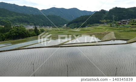 Paddy field Paddy field 140345839