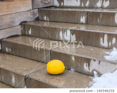 Yellow squash warming concrete stairs in winter Yellow squash warming concrete stairs in winter 140346259