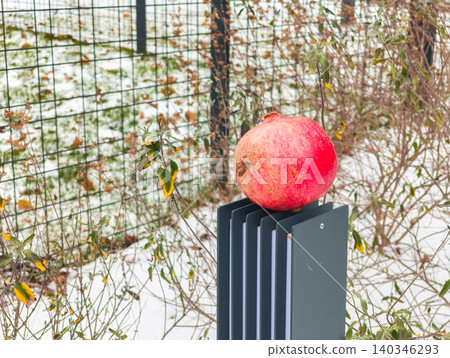 Pomegranate sitting on a lamp post in winter Pomegranate sitting on a lamp post in winter 140346293