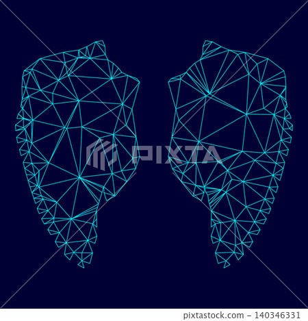 Wing low poly triangulation triangulated polygonal electric cyan Wing low poly triangulation triangulated polygonal electric cyan 140346331