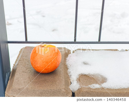 Frozen fruit on stone block in winter landscape Frozen fruit on stone block in winter landscape 140346458