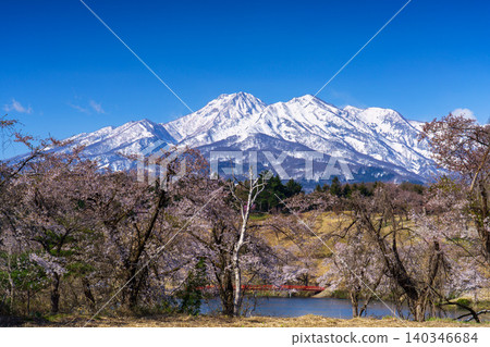 新潟縣上越市松峰的櫻花和白雪皚皚的妙高山:令人嘆為觀止的春日景色。 新潟縣上越市松峰的櫻花和白雪皚皚的妙高山:令人嘆為觀止的春日景色。 140346684