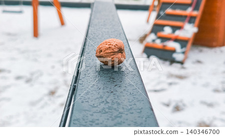 Walnut shell resting on wet railing in winter Walnut shell resting on wet railing in winter 140346700