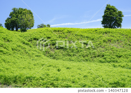 Yamagata Prefecture, Oguni Town, Bracken Field Yamagata Prefecture, Oguni Town, Bracken Field 140347128