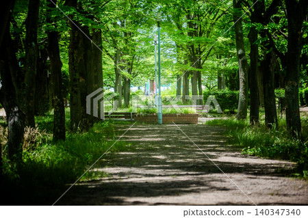 Fresh green park 140347340