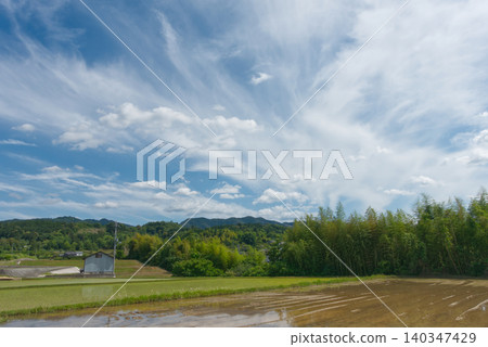 A rural landscape in early summer in Hashimoto City, Wakayama Prefecture, with white clouds spreading across a blue sky and a green bamboo grove (Japanese rural scenery). A rural landscape in early summer in Hashimoto City, Wakayama Prefecture, with white clouds spreading across a blue sky and a green bamboo grove (Japanese rural scenery). 140347429