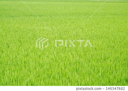 Rural landscape, Nagai City, Yamagata Prefecture Rural landscape, Nagai City, Yamagata Prefecture 140347682