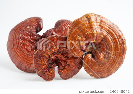 Lingzhi or Reishi mushroom isolated on white background. 140348041