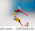 Shoujo dragonfly 140348130