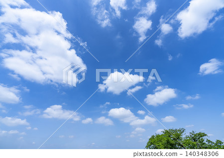 初夏的藍天、白雲和樹木 初夏的藍天、白雲和樹木 140348306