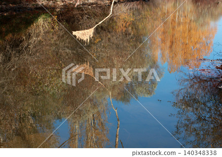 reflection of trees in water reflection of trees in water 140348338