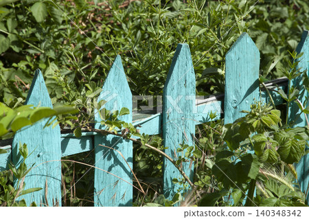 turquoise wooden garden fence in yellow grass turquoise wooden garden fence in yellow grass 140348342