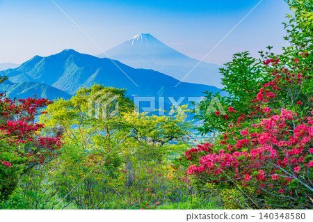 【山梨縣】清里美麗的森林裡盛開著山地杜鵑,遠處可看到富士山。 【山梨縣】清里美麗的森林裡盛開著山地杜鵑,遠處可看到富士山。 140348580