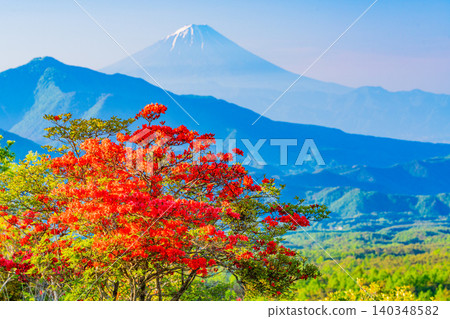 【山梨縣】清里美麗的森林裡盛開著山地杜鵑,遠處可看到富士山。 【山梨縣】清里美麗的森林裡盛開著山地杜鵑,遠處可看到富士山。 140348582