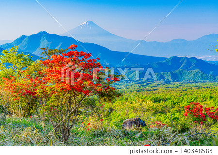 [Yamanashi Prefecture] Mountain azaleas bloom in the beautiful Kiyosato forest, with a distant view of Mt. Fuji. 140348583
