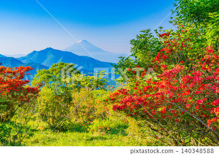 [Yamanashi Prefecture] Mountain azaleas bloom in the beautiful Kiyosato forest, with a distant view of Mt. Fuji. 140348588