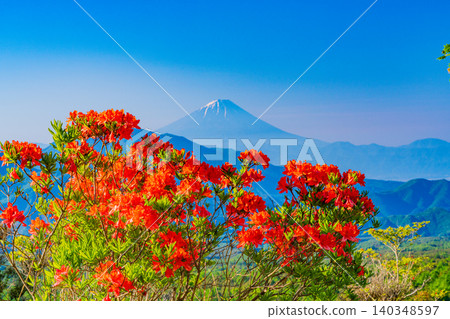 【山梨縣】清里美麗的森林裡盛開著山地杜鵑,遠處可看到富士山。 【山梨縣】清里美麗的森林裡盛開著山地杜鵑,遠處可看到富士山。 140348597