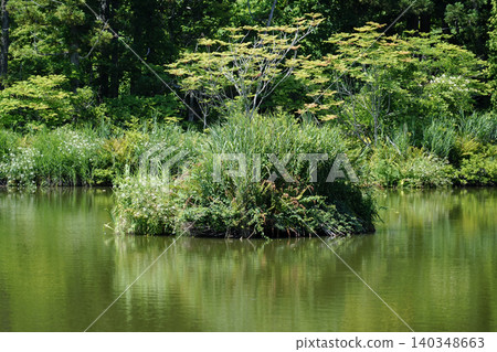 Yamagata Prefecture, Asahi Town, Onuma Ukishima Inari Shrine 140348663