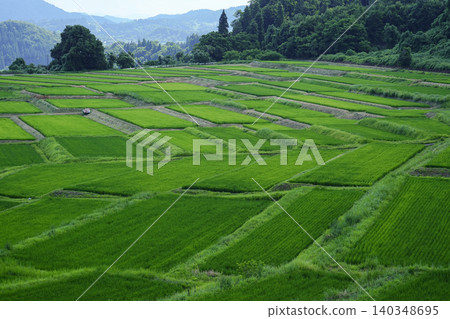 山形縣旭町原平梯田 山形縣旭町原平梯田 140348695