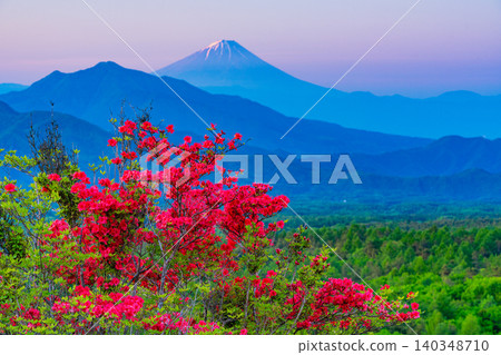 [Yamanashi Prefecture] Beautiful forest in Kiyosato with blooming mountain azaleas, distant view of Mt. Fuji at dawn 140348710
