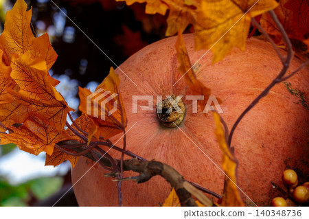 Close up of a ripe orange pumpkin surrounded by vibrant autumn leaves and branches Close up of a ripe orange pumpkin surrounded by vibrant autumn leaves and branches 140348736