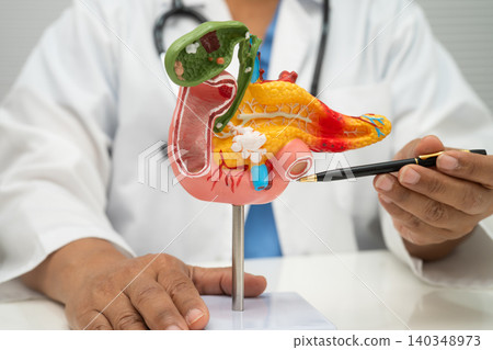 Pancreatitis, pancreatic cancer, Asian doctor with pancreas, gallbladder and bile duct human anatomy model at hospital. 140348973