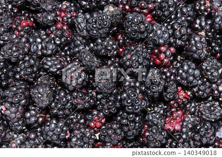 close-up wild blackberry berries background 140349018