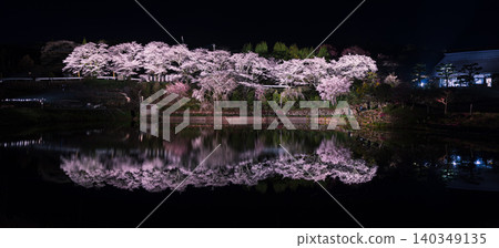 Cherry blossoms appearing on the surface of the water 140349135