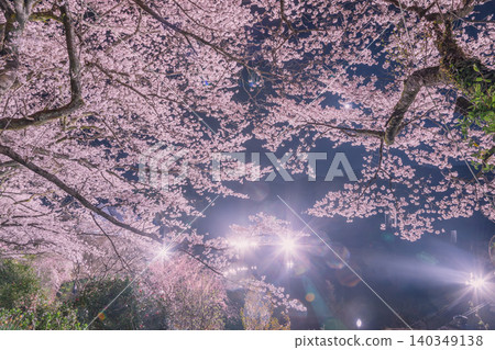 櫻花出現在水面上 140349138