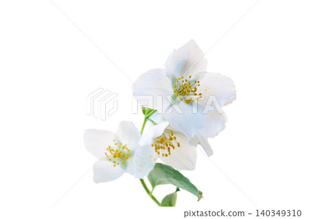 elegant white blossoms with copy space design 140349310