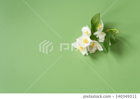 white jasmine flowers border on green background white jasmine flowers border on green background 140349311
