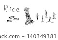 Simple vector sketchy freehand drawing. Stages of rice planting, plant cultivation, agriculture, grain products, seedlings, bunches, sprouts in water. Fields, farming. 140349381