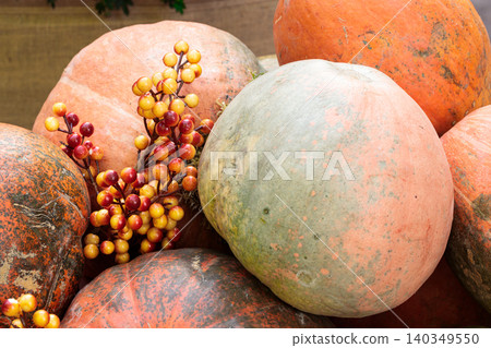 vibrant assortment of pumpkins in different colors and textures, adorned with bright berries, evokes the spirit of autumn and seasonal bounty vibrant assortment of pumpkins in different colors and textures, adorned with bright berries, evokes the spirit of autumn and seasonal bounty 140349550