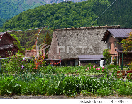 In early summer, visit the World Heritage site of Shirakawa-go, with its beautiful gardens and traditional thatched-roof houses. In early summer, visit the World Heritage site of Shirakawa-go, with its beautiful gardens and traditional thatched-roof houses. 140349634
