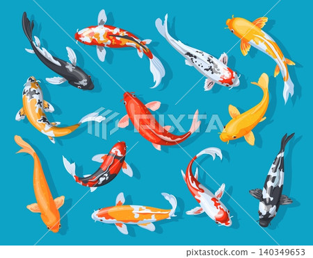 Koi fish. Cartoon japanese carp, traditional asian lucky fortune symbol gold orange red carps above top view swim water pond river zen bright goldfish set neat vector illustration 140349653